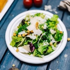 Bio piatti da zucchero canna 18 cm 1000 pc. Piatti eco round