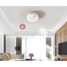 Smoke sensor and fire alarm Putogesafe 206c smoke detectors 10 years 12 pcs.