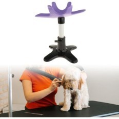 Mesa de cuidado de perros Perfk usada para perros pequeños y medianos