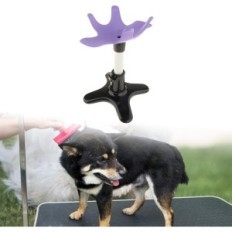 Gebrauchte Perfk-Hundepflege-Tabelle für kleine und mittlere Hunde