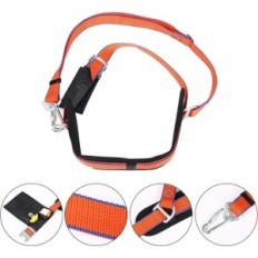 Klimmende rivierkreeft op stalen bomen met handschoenen 2 klauwen tentoonstelling