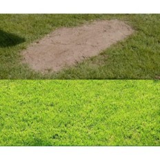 Nordic Lawn Lawn 1x5 m elastická umelá tráva pre záhradu