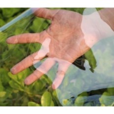 PVC-kanteling voor tuin en tuinhuis transparant waterdicht 0,4 mm 4x4 m