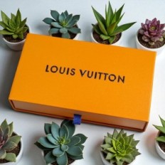 Kartónová skrinka Louis Vuitton s zatiahnuteľnými zásuvkami, zlatý hnedý
