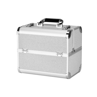 Valigetta cosmetica 44 argento — vista frontale