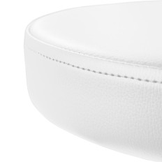 Stoel Kruk Cosmetische Hoker met rugleuning op wielen tot 150 kg Terni White