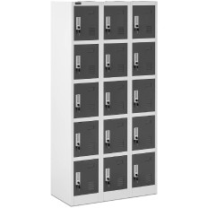 Armoire de casiers métalliques pour vestiaire avec 15 casiers à clé.