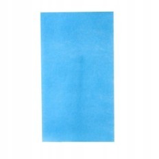 Filter for BD-512A Paint Cab