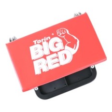 Taller Workshop Workshop Bear Bug Bug Red