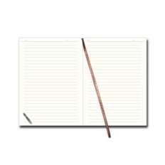 Napomene 100 SN kartica s zamjenjivim uloškom, A5 (14,2 × 20,5 cm) smeđe