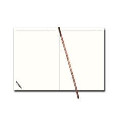 Noter 100 SN-kort med utskiftbar patron, A5 (14,2 × 20,5 cm) Brown