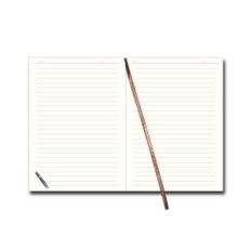 Napomene 100 TR kartica s uklonjivim spremnikom, A6 (8,3 × 13,5 cm)