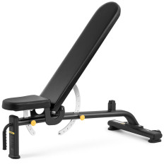 Workout bench for exercise adjustable folding 9 levels up to 135 kg