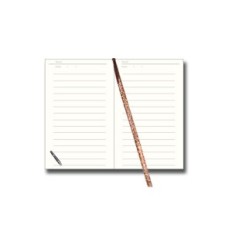 Notebook A6 Notebook A6, Coleção 45B, Cartucho Removível 2026 100 Linhas de Cartões Gotas Escritório