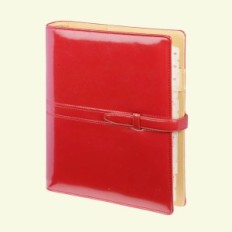 Organizer Premium Verona WB 08 17.5x23,5cm Red cover