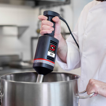 Mixer håndholdt med blandingsarm og whisking MB-21 300 W - Sammic 3030634