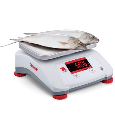 Kitchenwell αδιάβροχο IP68 Valor 2000 30kg / 5kg - OHAUS V22pwe30t