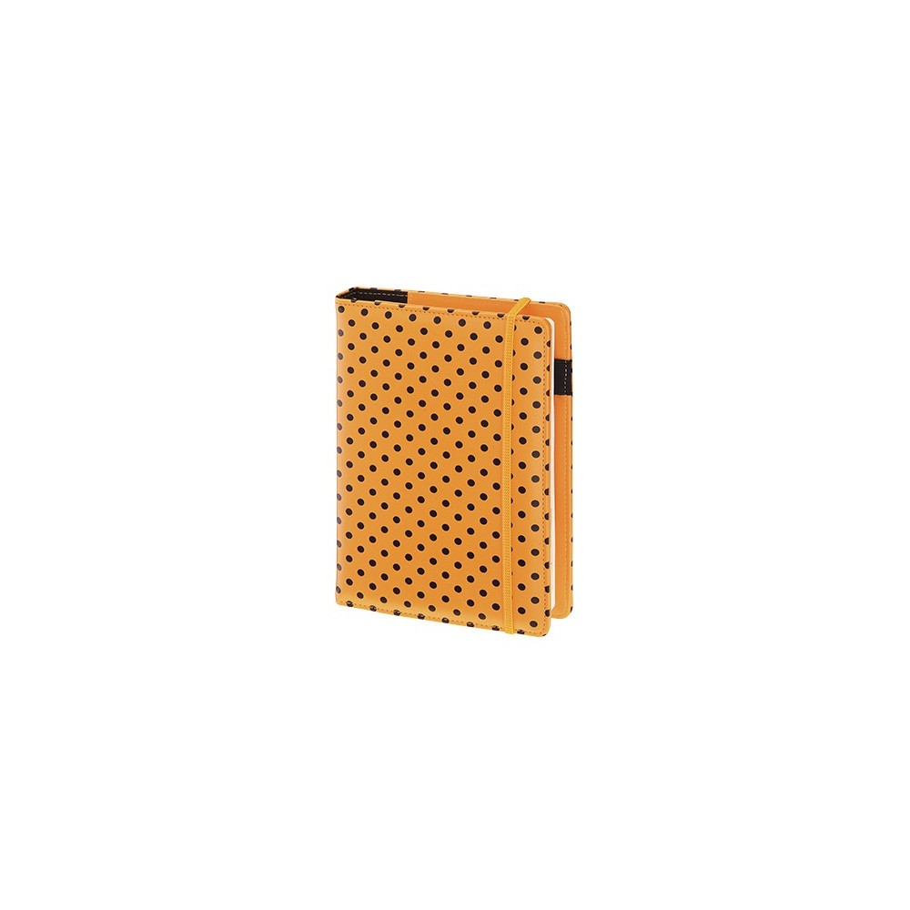 Knjiga Kalendar segregator B6 13 x 19 cm Uklonjiva spremnika 2026 kapi