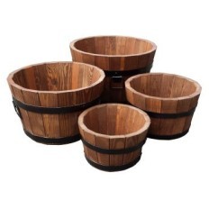 Pinheiro 28xH17 K. Walnut