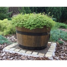 Pine pot 42xH26 k. Walnut