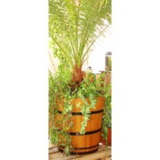 Donica Oak 32xh35 k. Eiche