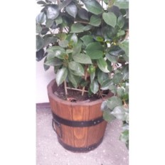 Pote Pot 42xh38 K. Nogal