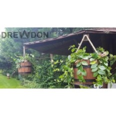 Cybrzyk Oak 30xh30 K. Eg