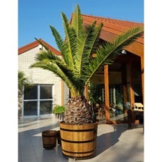 Donica Oak 30xH25 K. Δρύινα