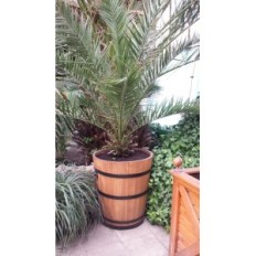 Donica oak 25xH25 k. Oak