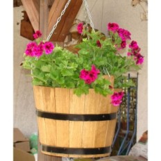 Cybrzyk Oak 22xh20 k. Eg