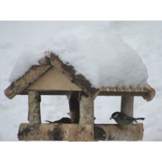 Rectangular pine feeder