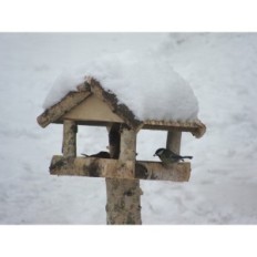 Karmnik sosnowy klasyczny