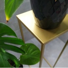 Moderni kukkaBlofi Golden 091 / K-12-1P-40Z