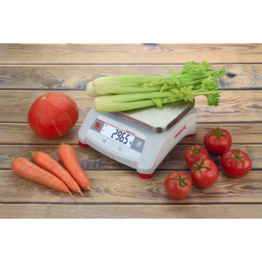 Tabela de Catering para Catering Controle Auxiliar Valor 1000 30kg / 5G - OHAUS V12p30