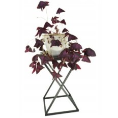 Modern Flower Loft Black XENA 250 / K- 12- 1P- 40C