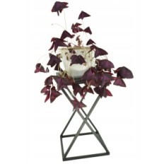 Modern Blomsterbädd Loft Black Xena 250 / K-12-1P-40C