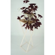 Modern Flowerbed Loft Whild 12 282 / K-12-1P-70BBB