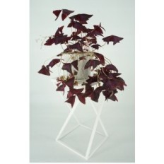 Modern flowerbed Loft White Drill 12 277 / K-12-1P-40B