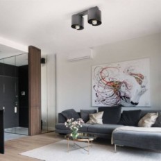 Hugo 2 black ceiling lamp