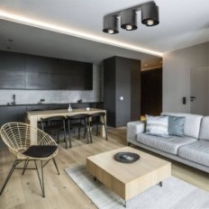 Hugo 3 black ceiling lamp