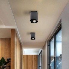 Hugo 1 zwarte plafondlamp