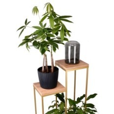 Fém virág loft 2- pozíció arany top Oak Craft