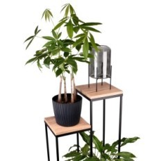 Blumenbeet-Metall-Loft 2-Position schwarz mit den Tops einer Handwerkeiche