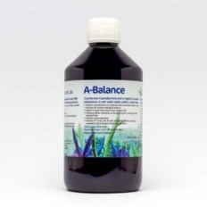 Korallen zu A-Balance 500 ml - Vorbereitung auf die Rekonstruktion der Biologie