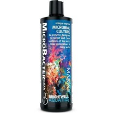 Brightwell Aquatics Microbacter Clean 250ml - Bacteria for aquarium