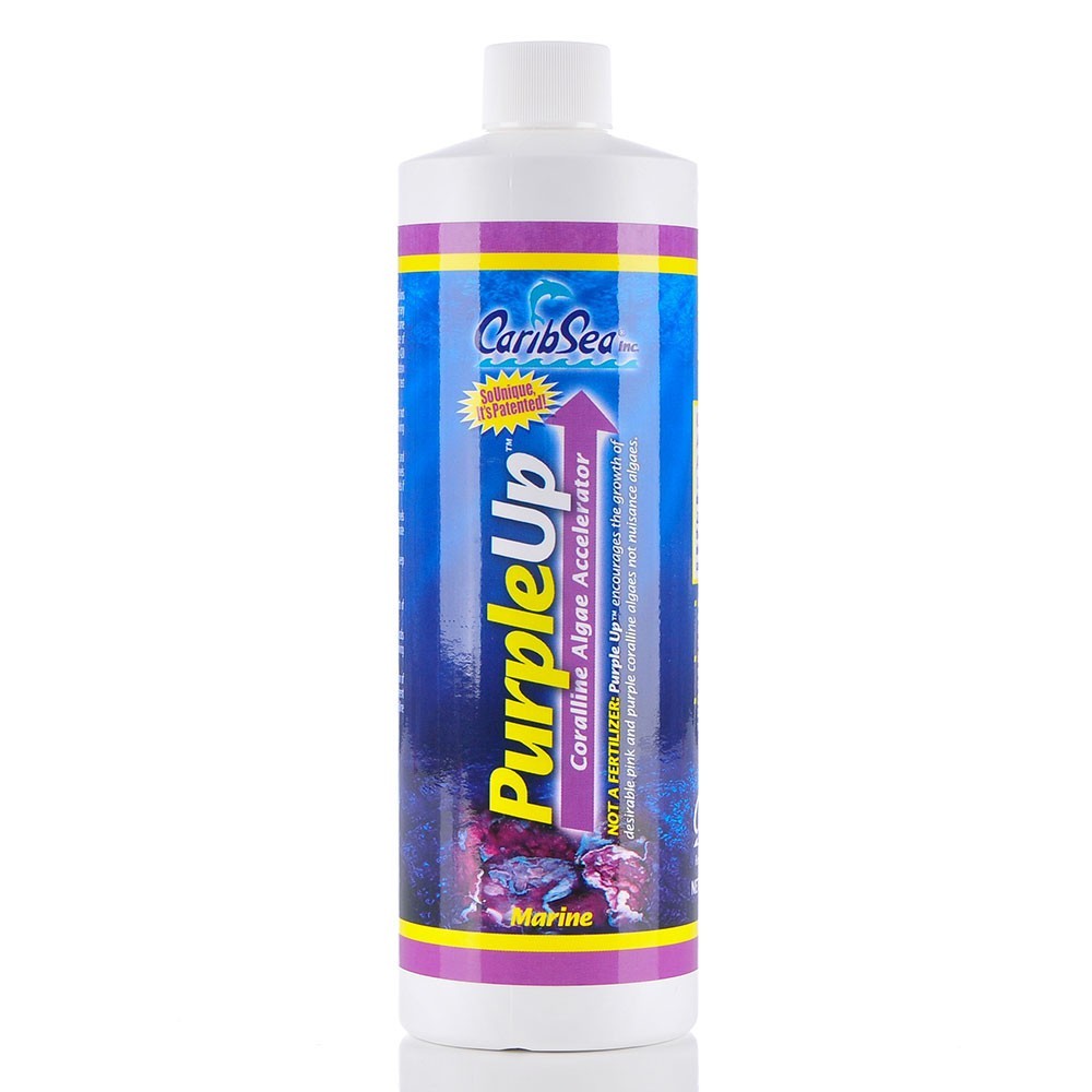 Caribsea violetinė iki 237 ml