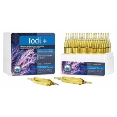 Prodibio jodi + 1 amp
