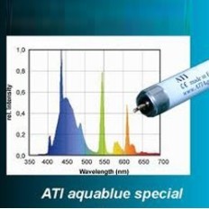 ATI AQUABLUE SPEAKER SPEZIAL 80 W