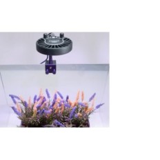 LED KESSIL H80 TUNA FLORA LED ŠVIESA