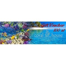 Bon cadeau - Coralhouse 100 PLN